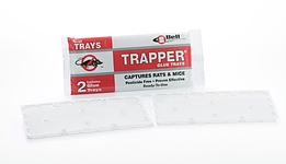 Trapper Tunnel Glue Boards 24/2pk/cs