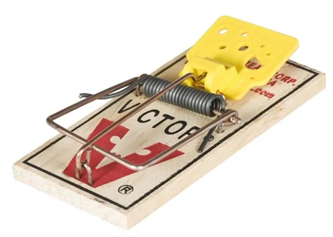 Victor Mouse Trap M325 (box of 72 traps)
