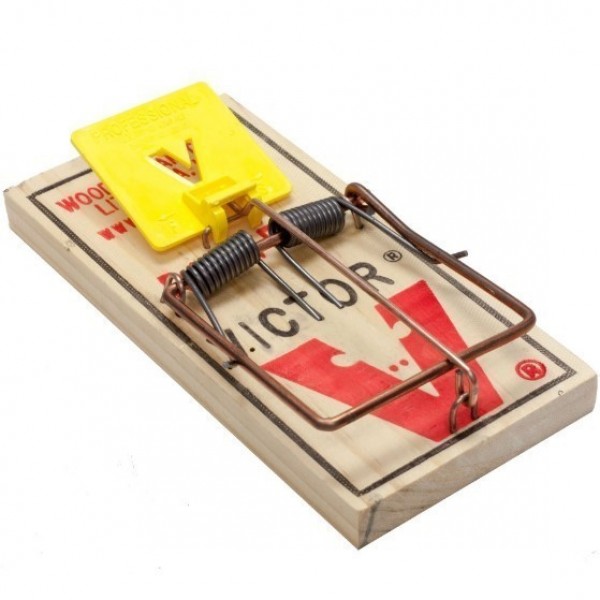 Victor Mouse Trap M325 (box of 72 traps)