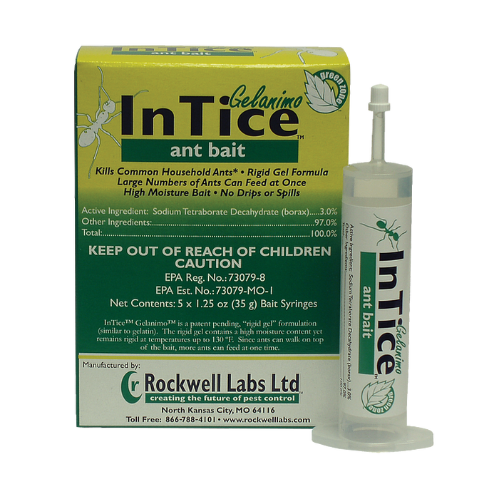 InTice Gelanimo Ant Bait Gel (1-Pack of 4 tubes)