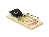 Catchmaster Mouse Snap Trap (602 PE) 1-Box of 72 pcs