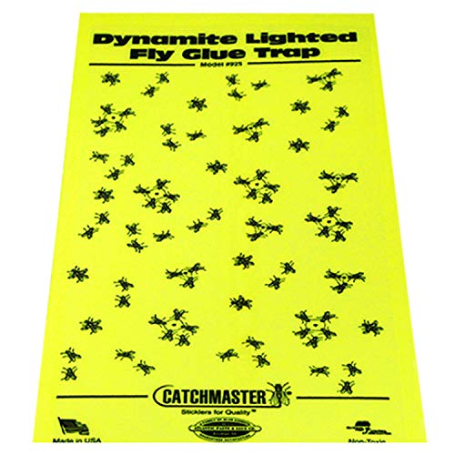 Catchmaster 925 Glue Boards-box of 25