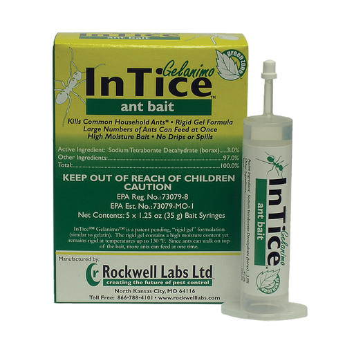 InTice Gelanimo Ant Bait Gel (1-Pack of 4 tubes)